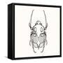 Hand Drawn Engraving Sketch Scarab Beetle, May Bug, European Diving Beetle. Vector Illustration For-panki-Framed Stretched Canvas