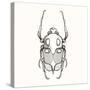 Hand Drawn Engraving Sketch Scarab Beetle, May Bug, European Diving Beetle. Vector Illustration For-panki-Stretched Canvas