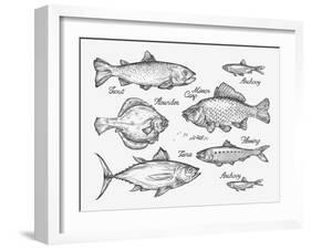 Hand Drawn Fish. Sketch Trout, Carp, Tuna, Herring, Flounder, Anchovy. Vector Illustration-AVA Bitter-Framed Art Print