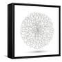 Hand-Drawn Flower Chrysanthemum. Element For Design. Abstract Floral Background-Helga Pataki-Framed Stretched Canvas