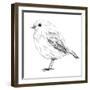 Hand-Drawn Robin-aggressor-Framed Premium Giclee Print