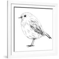 Hand-Drawn Robin-aggressor-Framed Art Print