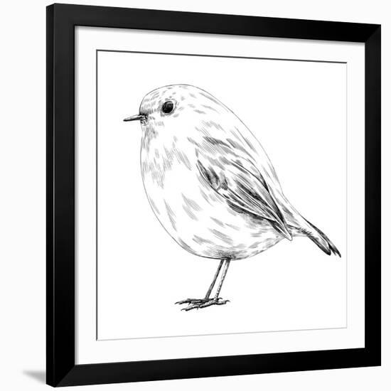 Hand-Drawn Robin-aggressor-Framed Art Print