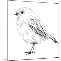 Hand-Drawn Robin-aggressor-Mounted Art Print