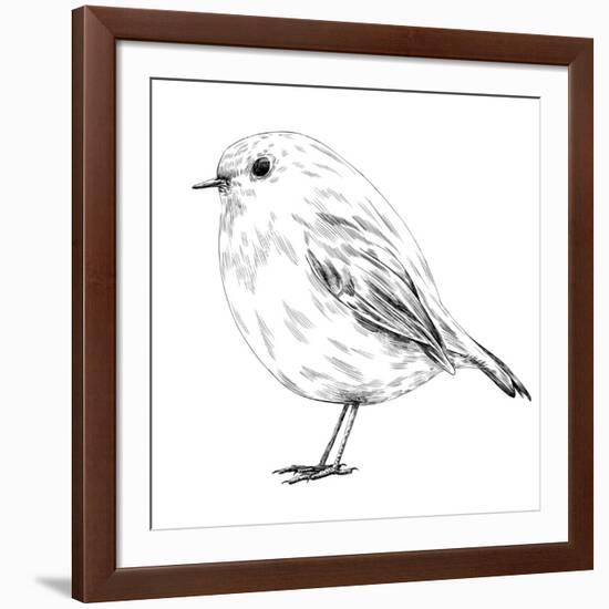 Hand-Drawn Robin-aggressor-Framed Art Print