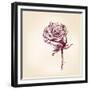 Hand Drawn Roses-VladisChern-Framed Premium Giclee Print