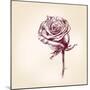 Hand Drawn Roses-VladisChern-Mounted Premium Giclee Print