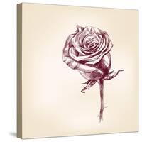 Hand Drawn Roses-VladisChern-Stretched Canvas