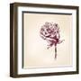 Hand Drawn Roses-VladisChern-Framed Art Print