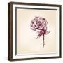 Hand Drawn Roses-VladisChern-Framed Art Print