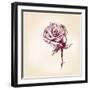 Hand Drawn Roses-VladisChern-Framed Art Print