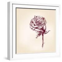 Hand Drawn Roses-VladisChern-Framed Art Print