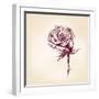 Hand Drawn Roses-VladisChern-Framed Art Print