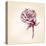 Hand Drawn Roses-VladisChern-Stretched Canvas