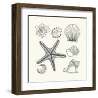 Hand- Drawn Shells Set-Angelina Stoykova-Framed Art Print