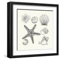 Hand- Drawn Shells Set-Angelina Stoykova-Framed Art Print