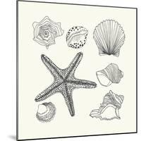 Hand- Drawn Shells Set-Angelina Stoykova-Mounted Art Print