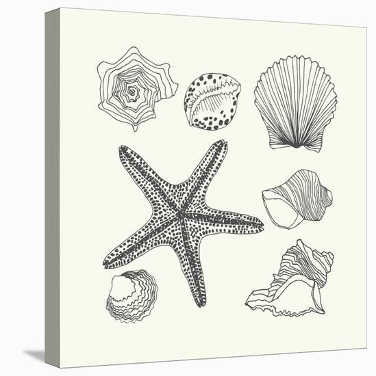 Hand- Drawn Shells Set-Angelina Stoykova-Stretched Canvas