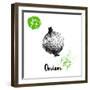 Hand Drawn Sketch Onion. Farm Fresh Vegetables Poster.-Sketch Master-Framed Art Print