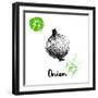 Hand Drawn Sketch Onion. Farm Fresh Vegetables Poster.-Sketch Master-Framed Art Print