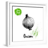 Hand Drawn Sketch Onion. Farm Fresh Vegetables Poster.-Sketch Master-Framed Art Print