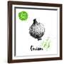 Hand Drawn Sketch Onion. Farm Fresh Vegetables Poster.-Sketch Master-Framed Art Print