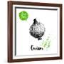 Hand Drawn Sketch Onion. Farm Fresh Vegetables Poster.-Sketch Master-Framed Art Print