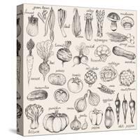 Hand-Drawn Vegetables-Nikiparonak-Stretched Canvas