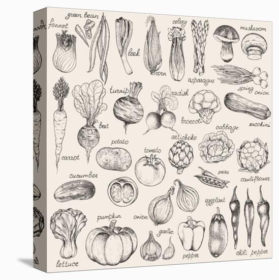 Hand-Drawn Vegetables-Nikiparonak-Stretched Canvas