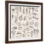 Hand-Drawn Vegetables-Nikiparonak-Framed Art Print