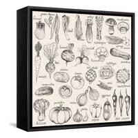 Hand-Drawn Vegetables-Nikiparonak-Framed Stretched Canvas