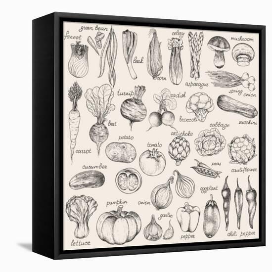 Hand-Drawn Vegetables-Nikiparonak-Framed Stretched Canvas