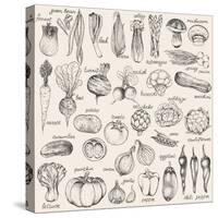 Hand-Drawn Vegetables-Nikiparonak-Stretched Canvas