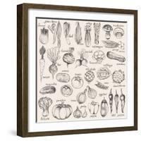 Hand-Drawn Vegetables-Nikiparonak-Framed Art Print