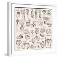 Hand-Drawn Vegetables-Nikiparonak-Framed Art Print