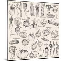 Hand-Drawn Vegetables-Nikiparonak-Mounted Art Print