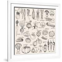 Hand-Drawn Vegetables-Nikiparonak-Framed Art Print