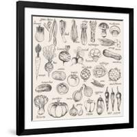 Hand-Drawn Vegetables-Nikiparonak-Framed Art Print