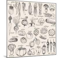 Hand-Drawn Vegetables-Nikiparonak-Mounted Art Print