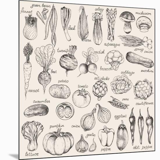 Hand-Drawn Vegetables-Nikiparonak-Mounted Art Print