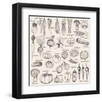 Hand-Drawn Vegetables-Nikiparonak-Framed Art Print