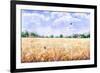 Hand Drawn Watercolor Illustration. Nature Landscape. Summer Rural Scene with Wheat Field, Clouds,-Val_Iva-Framed Art Print