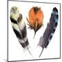 Hand Drawn Watercolor Vibrant Feather Set. Boho Feather Style. Illustration Feather. Isolated on Wh-Y_D-Mounted Art Print