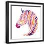 Hand Drawn Watercolor Zebra's Head. Good Quality of Illustration. Multicolor on White Background. N-Uni Ula-Framed Photographic Print