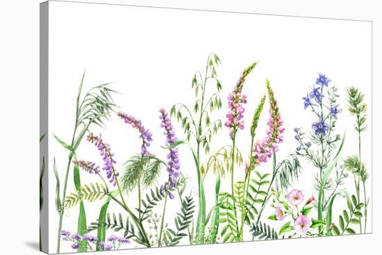 Hand Drawn Wild Flowers. Watercolor Wildflowers on White Background. Color Floral Border.-Val_Iva-Stretched Canvas