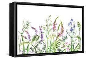 Hand Drawn Wild Flowers. Watercolor Wildflowers on White Background. Color Floral Border.-Val_Iva-Framed Stretched Canvas