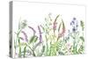 Hand Drawn Wild Flowers. Watercolor Wildflowers on White Background. Color Floral Border.-Val_Iva-Stretched Canvas