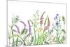 Hand Drawn Wild Flowers. Watercolor Wildflowers on White Background. Color Floral Border.-Val_Iva-Mounted Art Print