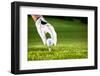 Hand Hold Golf Ball with Tee on Course, Close-Up-Kzenon-Framed Photographic Print