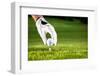Hand Hold Golf Ball with Tee on Course, Close-Up-Kzenon-Framed Photographic Print